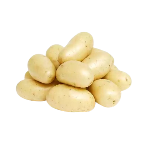 Potato