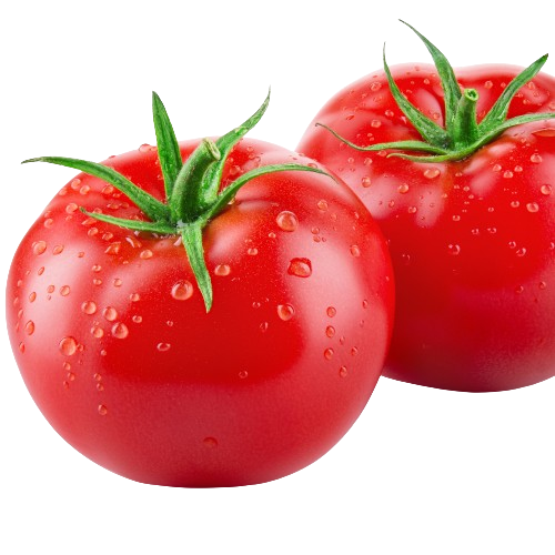 Tomato