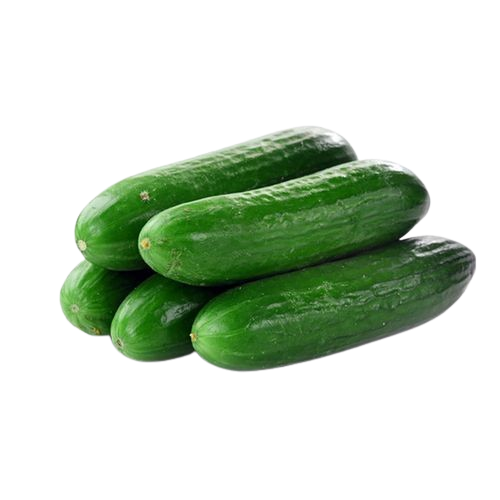 Cucumber
